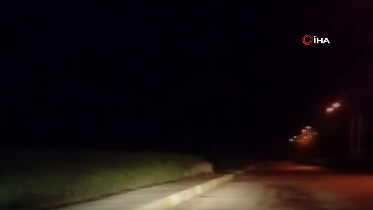 Yaban domuzu yerleşim alanına indi...Domuzu gören vatandaşın tepkileri gülümsetti