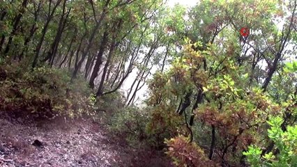 PKK'ya ağır darbe: 13 sığınak ve depo imha edildi, çok sayıda mühimmat ele geçirildi.