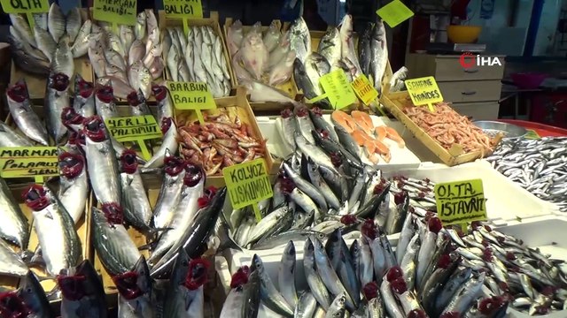 Adeta dört gözle beklenen 'Palamut' balıkçı tezgahlarındaki yerini aldı