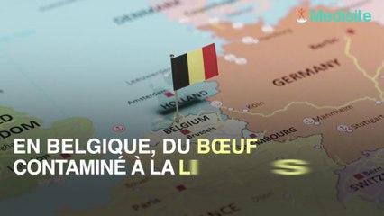 Boeuf contaminé à la listéria : il serait responsable de 3 décès !