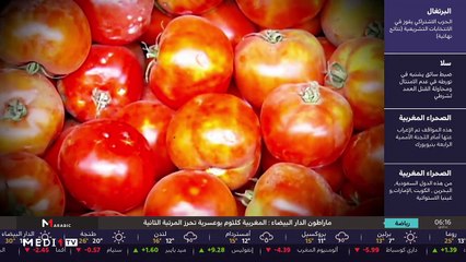 يوميات الفلاح - 08/10/2019