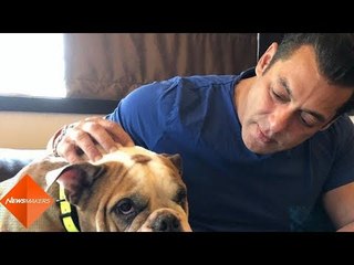 Salman Khan's New Pic With His 'Most Loving' Dog is Winning Hearts on Internet | SpotboyE