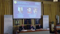 Physik-Nobelpreis geht an Forscher aus der Schweiz und Kanada