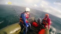 This is the Incredible Moment Rescuers Save a 40 Foot Long Humpback Whale Ensnared in a Lobster Trap