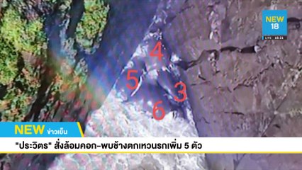 ประวิตรสั่งล้อมคอก-พบช้างตกเหวนรกเพิ่ม 5 ตัว | NEW18