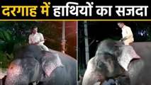 Dusshera पर Elephants ने दरगाह पर किया सजदा, लोगों को कराएंगे 'Jamboo Savari' | वनइंडिया हिंदी