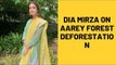 Dia Mirza  Calls Aarey Forest Deforestation A Massacre | SpotboyE