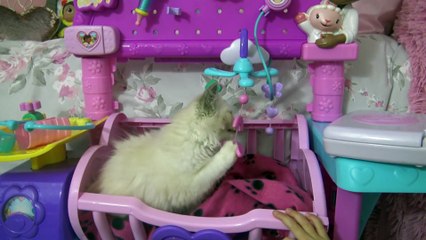 Brincando  de Doutora Brinquedos - Doc Mcstuffins - Cuidando dos Bebês