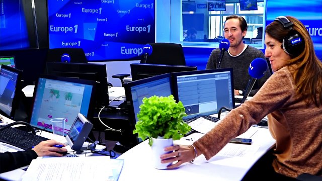 La solution : Prêt à pousser fait germer le potager d'intérieur