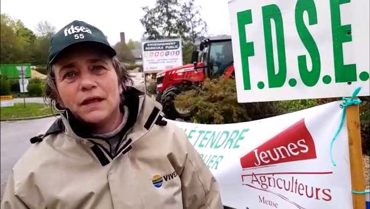 A la rencontre de Céline Maginot, présidente de la Fdsea de la Meuse, qui explique les raisons de la colère