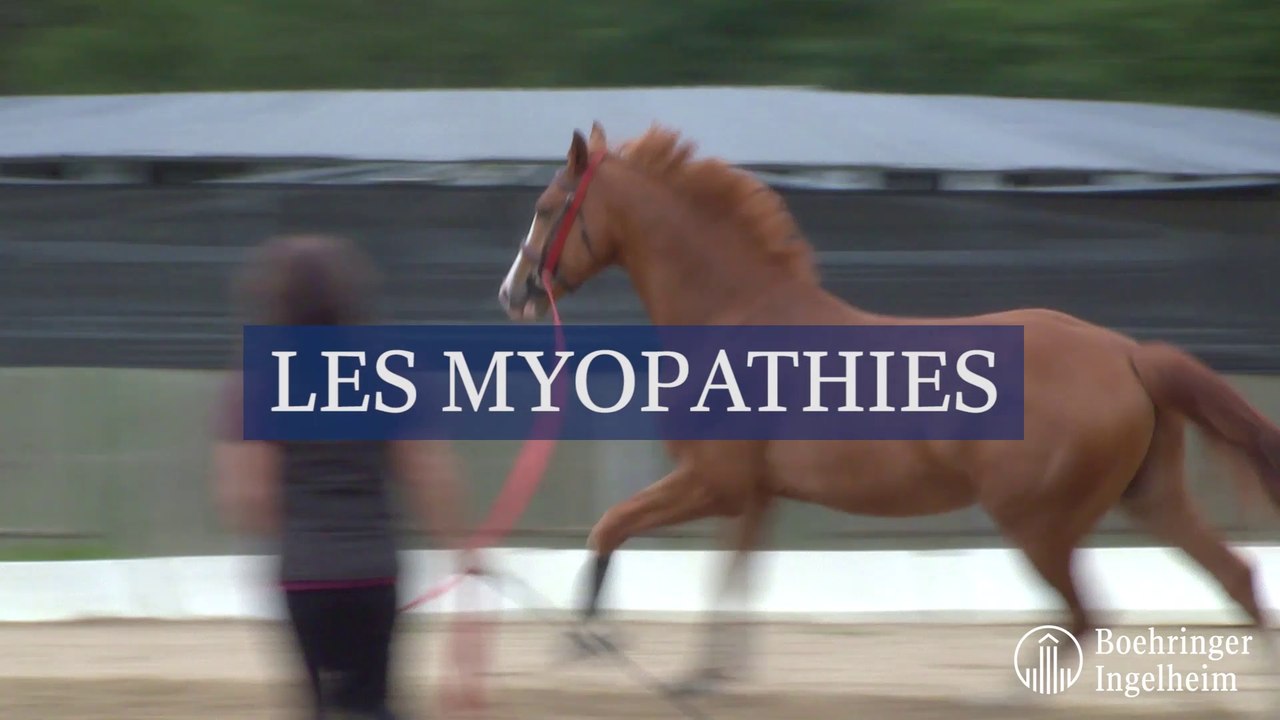 Les myopathies