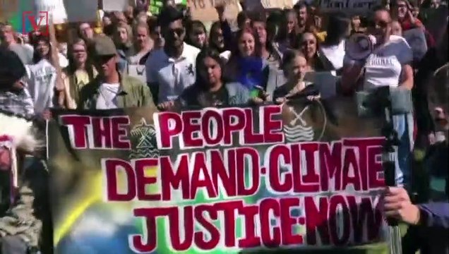 Couple Stages Wedding on Westminster Bridge Amid Climate Protests in London