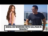 Disha Patani On Salman Khan: ‘He Is Santa Claus Sitting On Set, Willing To Help Everyone’ | SpotboyE