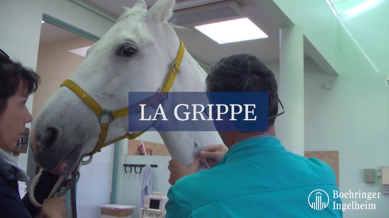 La grippe