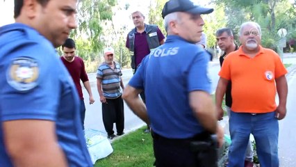 Elektrik direğine çarpan otomobil sürücüsü yaralandı - ADANA