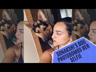 Sonakshi Sinha’s Pet Bronze Photo-Bombing Her Selfie Is Totally Cute | SpotboyE