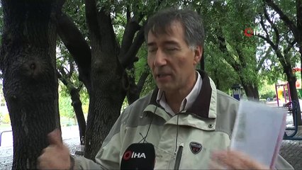 Risk oluşturan ağaçlar “sonik tomografi” ile tespit ediliyor