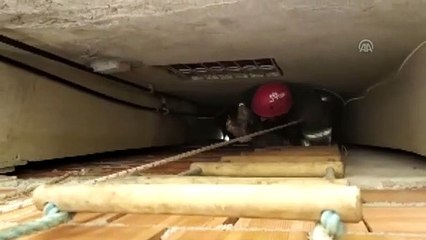 Havalandırma boşluğuna düşen kediyi itfaiye kurtardı - ADANA