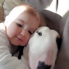 Ce bébé et ce chien sont Comme une caresse pour oublier le stress, pendant quelques instants.