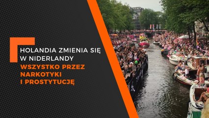 Holandia zamienia się w Niderlandy, wszystko przez narkotyki i prostytucję