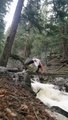 Petite séance de Yoga avec une  belle gamelle