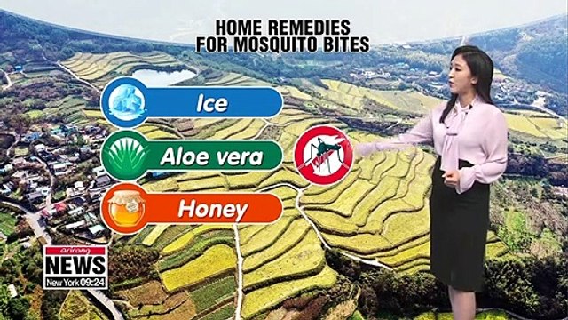 Morning lows plunges further tomorrow