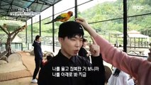 [PEOPLE] a parrot climbs on one's head,휴먼다큐 사람이좋다  20191008