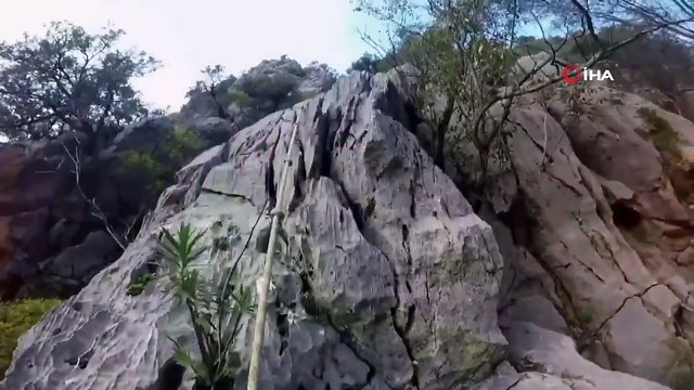 - Milli Savunma Bakanlığından Türk askerlerin eğitimi ile görüntü paylaşıldı