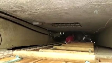 Havalandırma boşluğuna düşen kediyi itfaiye kurtardı - ADANA
