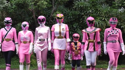 The Powerful Pink [FOREVER SERIES] Power Rangers | Super Sentai