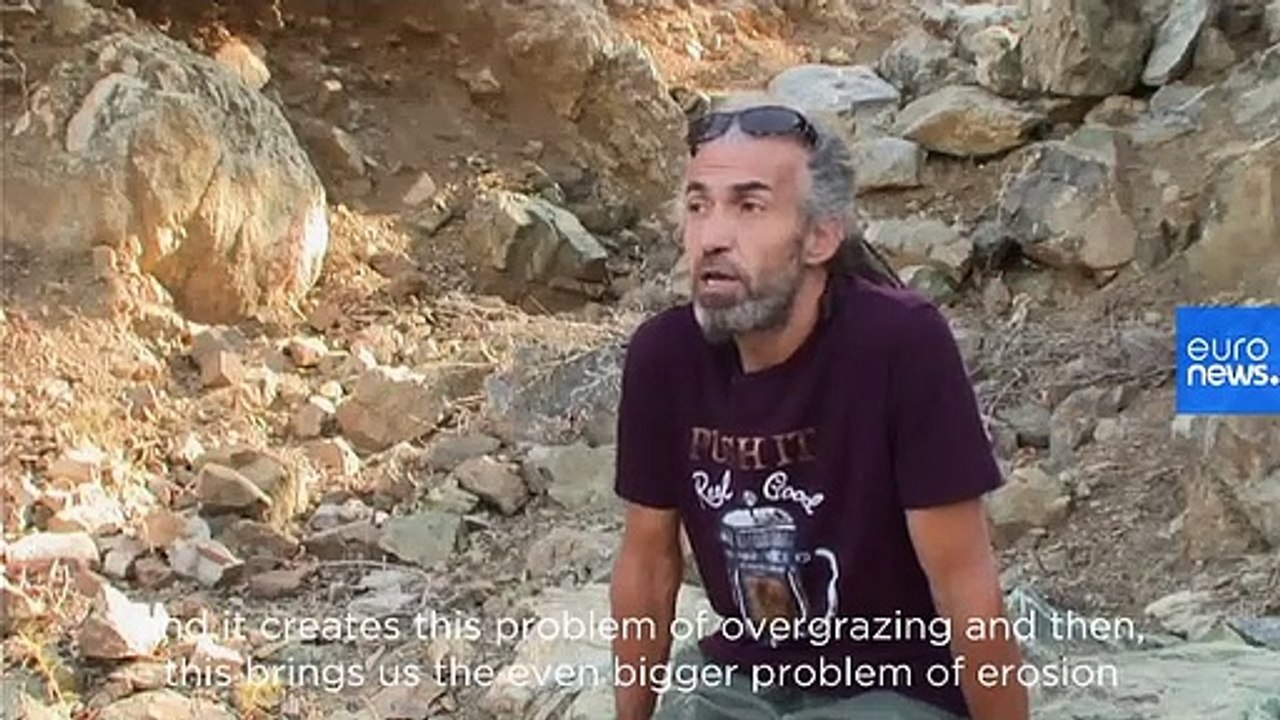 Not kidding: Goats outnumber humans 12-to-1 on this Greek island