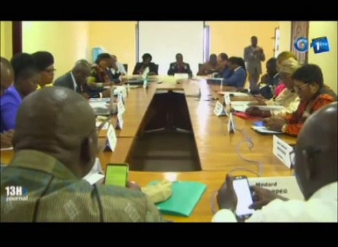 RTG - de l’atelier d’appui à la coalition des organisations de la société civile d’Afrique Centrale en planification stratégique des activités de prévention et de résolution de conflits
