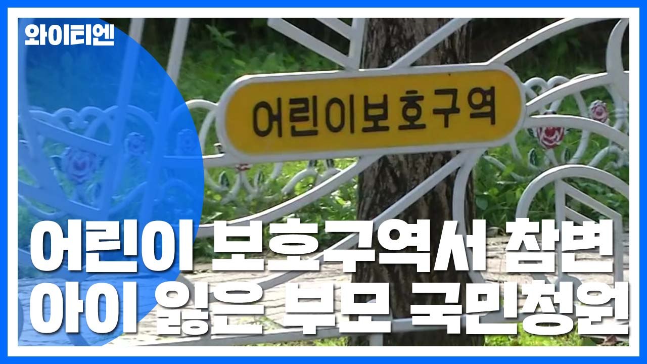 어린이 보호구역에서 아들 잃은 부모, 애끓는 국민청원 / YTN