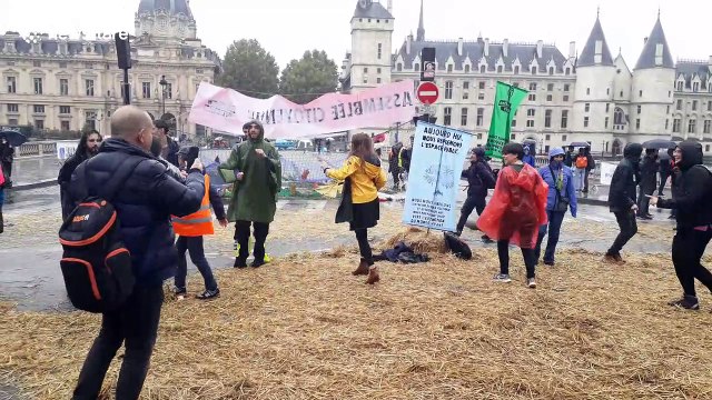 Activists take part in flashmob in Paris as Extinction Rebellion protests go international
