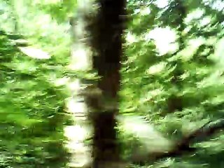 Erschaffen Und Beleben melody