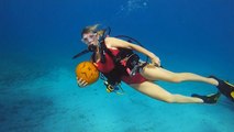 ABD'de ilginç yarışma: Dalgıçlar su altında bal kabaklarını oymaya çalıştı