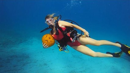 ABD'de ilginç yarışma: Dalgıçlar su altında bal kabaklarını oymaya çalıştı