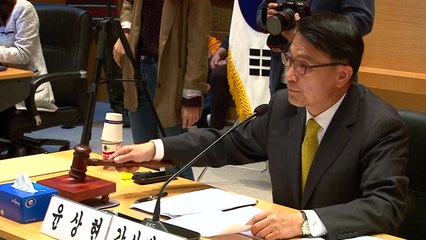 주중 대사관 국감..."시진핑 방한 적극 추진해야" / YTN