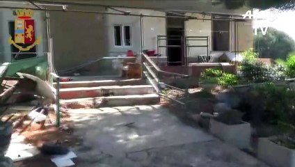 Una enorme plantación de marihuana detrás de una ducha