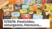 Pesticides, esturgeons, Hanouna… Cinq infos bretonnes du 11 octobre