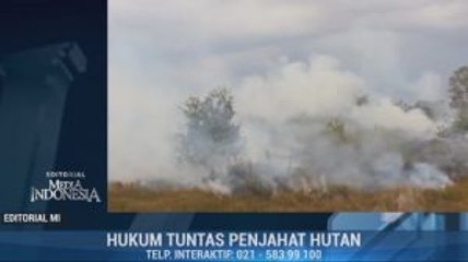 Hukum Tuntas Penjahat Hutan