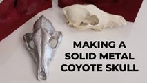 Making a Solid Metal Coyote Skull - Casting Molten Tin