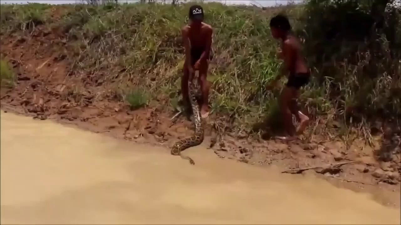 Ces enfants cambodgiens n'ont pas peur des serpents