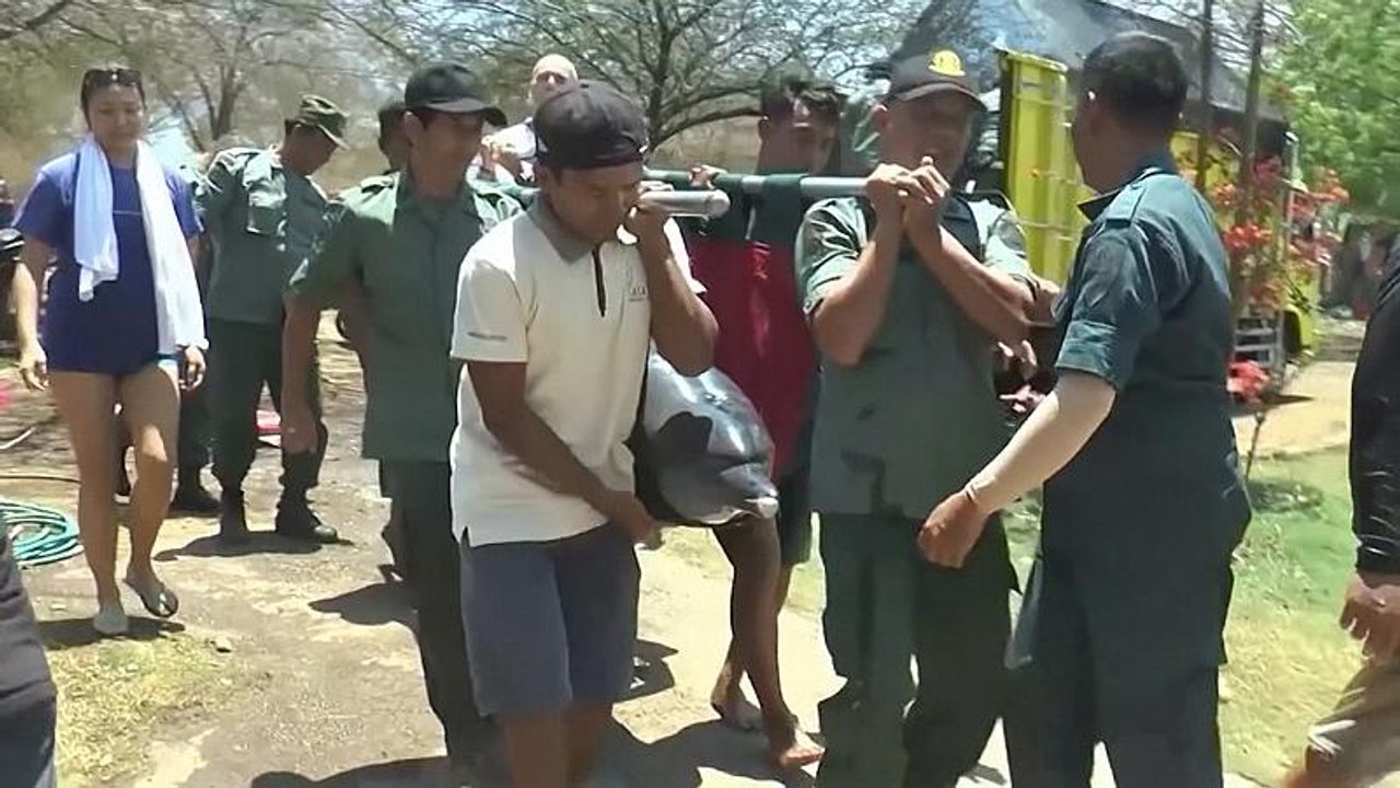 Bali: 4 Delfine aus Hotelpool gerettet, 1 Delfin tot