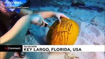 شاهد: نحت القرع في أعماق محمية بولاية فلوريدا