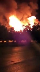 Andria: le paurose fiamme dell'incendio in via Bisceglie piu' alte degli alberi