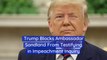 Trump Prevents Ambassador Sondland From Testifying