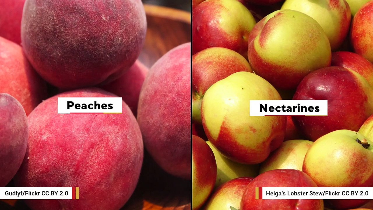 What's The Difference Between A Peach And A Nectarine?