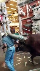 Steer Visits Texas Bass Pro Shop