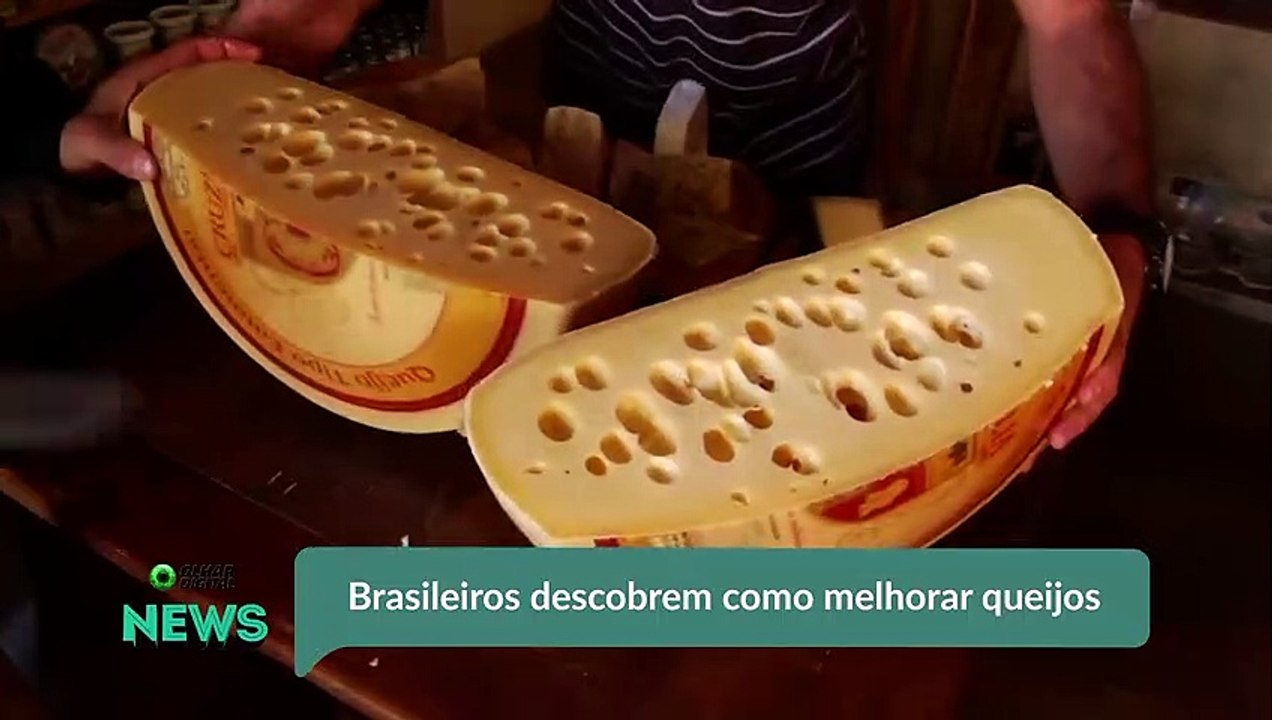 Brasileiros descobrem como melhorar queijos